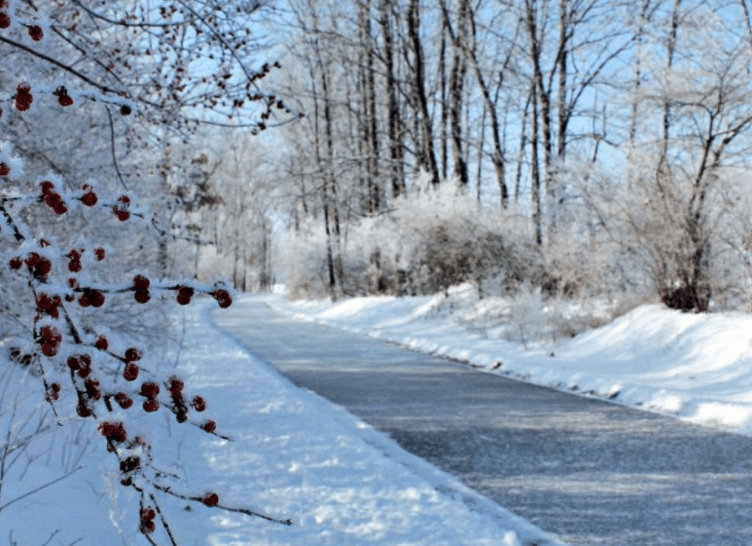 The Best Places to Hike in Indiana During the Winter - Friends of the Pumpkinvine Nature Trail 