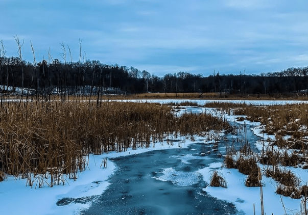 The Best Places to Hike in Indiana During the Winter - Pokagon