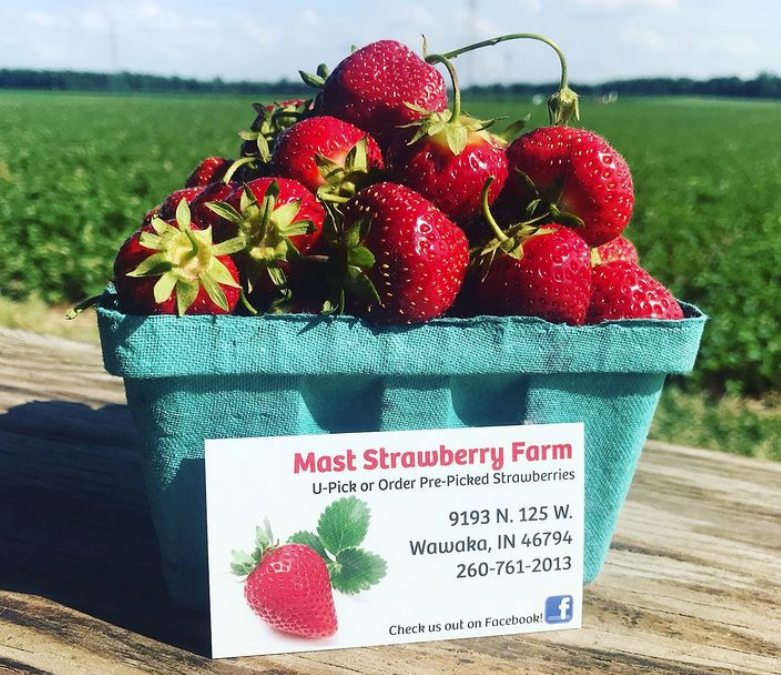 Mast Strawberry Patch - Indiana You Pick Farm 