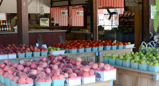 Anderson Orchard - Indiana You Pick Farm 