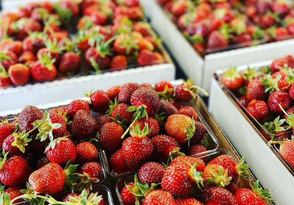 Huber's Orchard  - Indiana You Pick Farm 