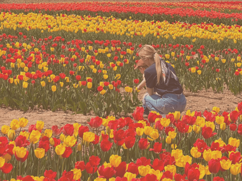 The Best Spring Things to do in&nbsp;Indiana