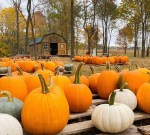 50 of the Best Fall Things to do in Indiana – Indiana Hannah